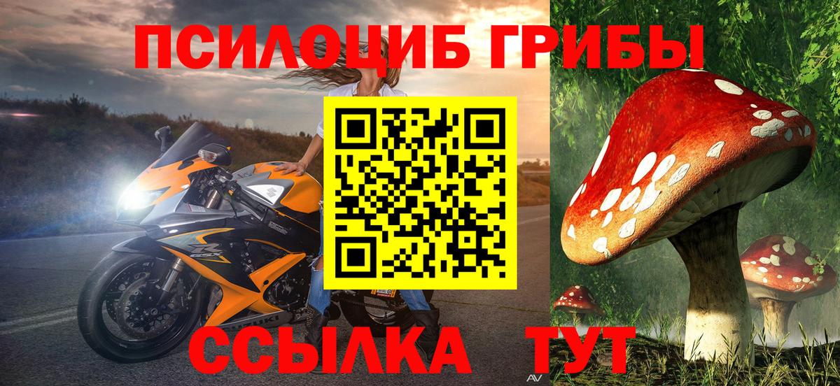 Псилоцибиновые грибы GOLDEN TEACHER  Вход с VPN  Галлюциногенные грибы MAGIC MUSHROOMS  Ярославль 
