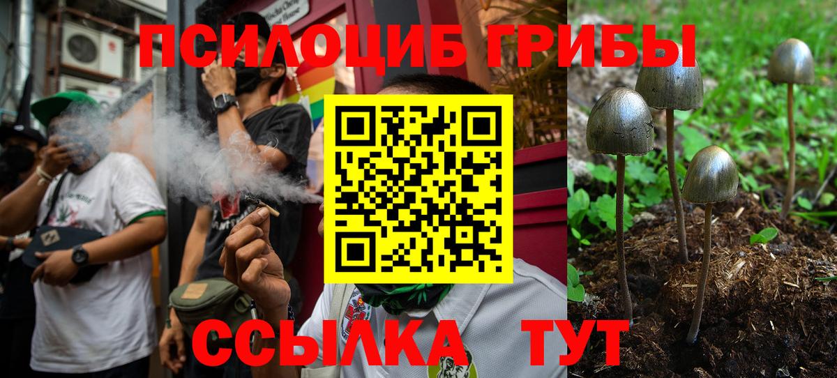 Галлюциногенные грибы Cubensis Ярославль